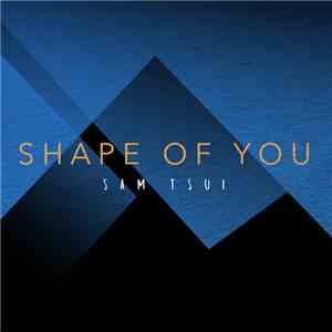 Sam Tsui - Shape Of You download flac mp3