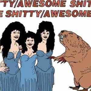 Shitty/Awesome - s/t LP download flac mp3