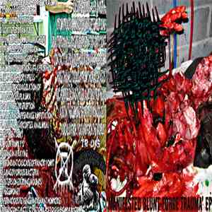 Gastric Fluid - Manifested Blunt Force Trauma download flac mp3
