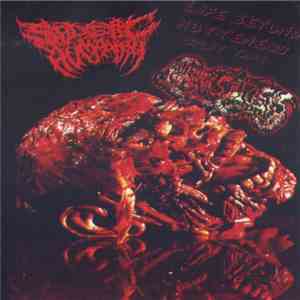 Sadistic Humanity / Parasitosis - Sadistic Humanity / Parasitosis download flac mp3