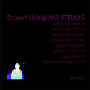 Steuart Liebig - Tidepool Music (Bass Collages 03–06) / Asteroid Music (Bass Collages 01-02) / Bass Improvs (Song Series 11–12) / Coral Music (Bass Assemblages 10–12) download flac mp3