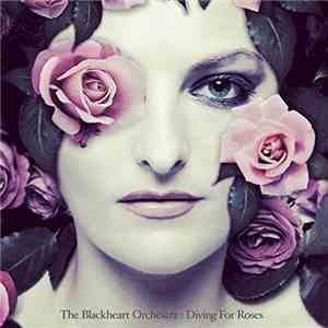 The Blackheart Orchestra - Diving For Roses download flac mp3