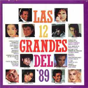 Various - Las 12 Grandes Del '89 download flac mp3