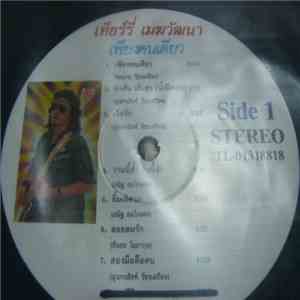 เทียรี่ คาราบาว - เพียงคนเดียว download flac mp3