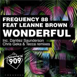 Frequency 88 Feat. Leanne Brown - Wonderful download flac mp3