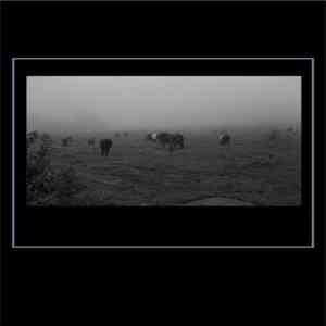 gdg  - Untitled download flac mp3