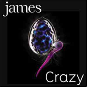 James - Crazy download flac mp3