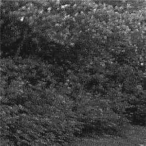 Taklamakan  / Torba - Subterranean Miasma / Blue Sunset At The Gates Of Feldburg download flac mp3