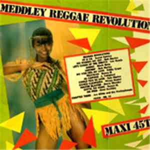 Various - Meddley Reggae Revolution download flac mp3