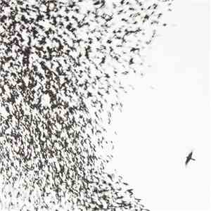 Wilco - Sky Blue Sky download flac mp3