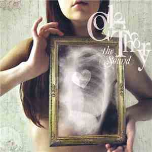 Color Theory - The Sound download flac mp3