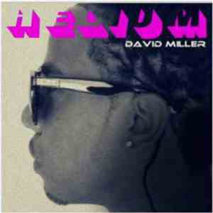 David Miller - Helium: Black Balloons Deux download flac mp3