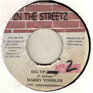 Harry Toddler - Dig Up download flac mp3