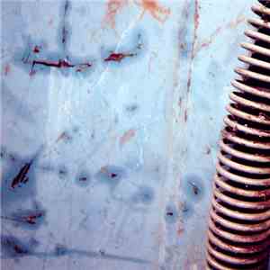 Jim O'Rourke - Steamroom 19 download flac mp3