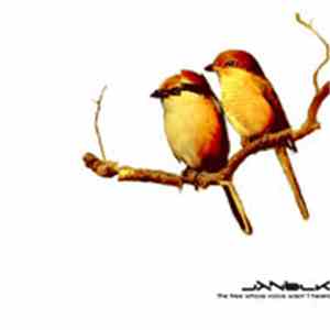Jxnblk - The Tree Whose Voice Wasn't Heard download flac mp3