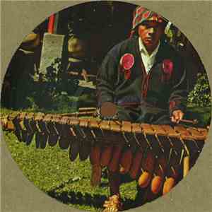 Steve Reich - Nagoya Marimba Remakes download flac mp3