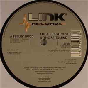 Luca Fregonese & The Afromind - Feelin' Good download flac mp3