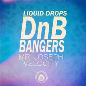 Mr Joseph / Velocity  - Liquid Bangers 1 download flac mp3