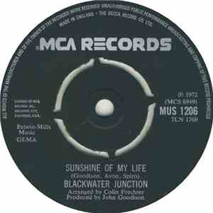 Blackwater Junction - Sunshine Of My Life download flac mp3