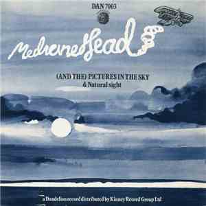 Medicine Head  - (And The) Pictures In The Sky download flac mp3