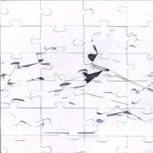 Not Scientists - Destroy To Rebuild download flac mp3