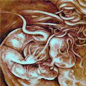 Rat King - Larva download flac mp3