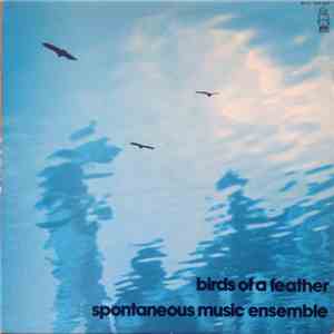 Spontaneous Music Ensemble - Birds Of A Feather download flac mp3