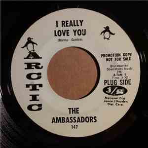 The Ambassadors - I Really Love You / I Can't Believe You Love Me download flac mp3