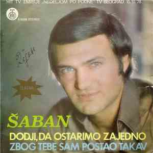 Šaban Šaulić - Dodji Da Ostarimo Zajedno / Zbog Tebe Sam Postao Takav download flac mp3