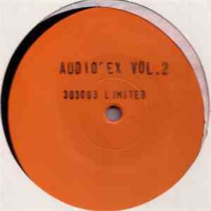 Audiosex  - Hardcore Acid E.P. Vol. 2 download flac mp3