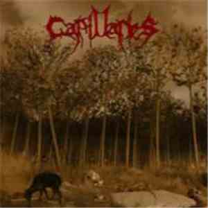 Capillaries - A Genocide Of Sins With Victims It Created flac mp3 download