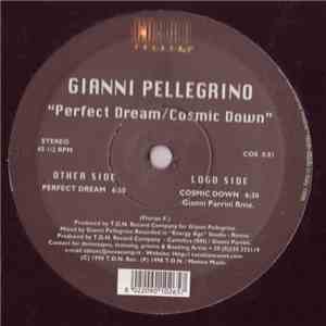 Gianni Pellegrino - Perfect Dream / Cosmic Down download flac mp3