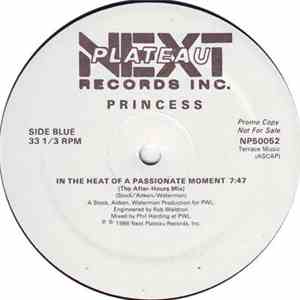 Princess - In The Heat Of A Passionate Moment download flac mp3