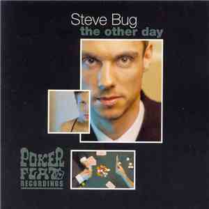 Steve Bug - The Other Day download flac mp3