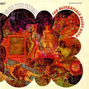 The Butterfield Blues Band - In My Own Dream download flac mp3