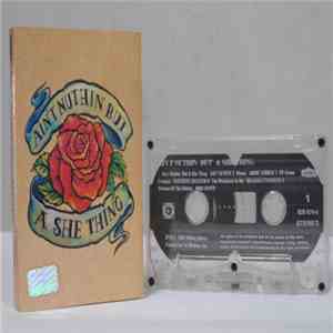 Various - Ain't Nuthin' But A She Thing download flac mp3