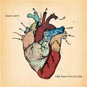 Adam Levy - The Heart Collector download flac mp3