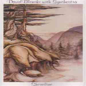 David Blonski With Synchestra - Shoreline download flac mp3