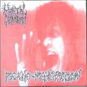 Mental Demise - Psycho-Penetration download flac mp3