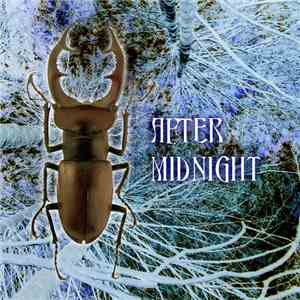 Stephen Ugo Rosin - After Midnight download flac mp3