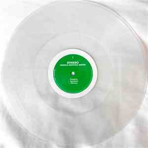 Synkro  - Presence, Questions, Memory download flac mp3
