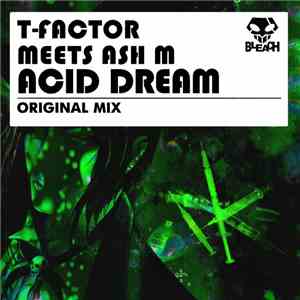 T-factor  Meets Ash M - Acid Dream download flac mp3