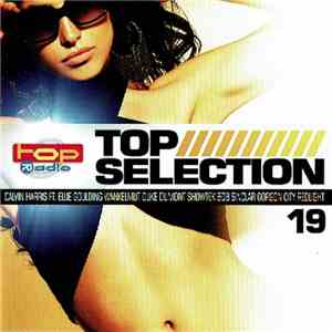 Various - Top Selection 19 download flac mp3