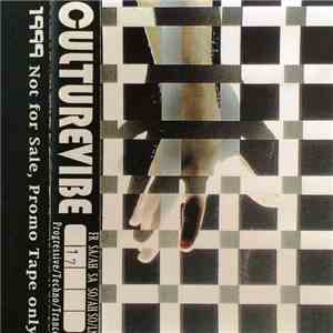 Culturevibe - 1999 #17 SA/AH - Progressive / Techno / Trance download flac mp3