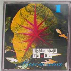 Дубовый Гаайъ - Мистика Vol. 1 flac mp3 download