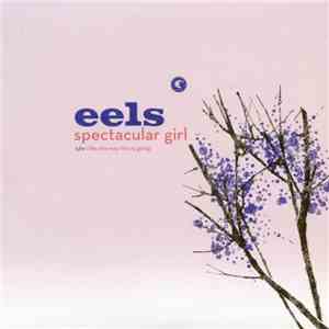 Eels - Spectacular Girl download flac mp3