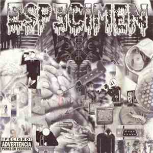 Especimen - SuBkOnZSiEnTe download flac mp3