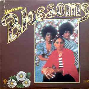 The Blossoms - Shockwave download flac mp3