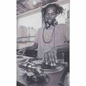 Damu The Fudgemunk - Public Assembly download flac mp3