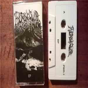 Hydromedusa - Hydromedusa download flac mp3